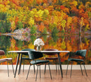 Colorful Autumn Forest Over Lake Wall Mural. Fall Foliage.