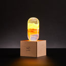Wood light base with screw socket by EP Designlab LLC