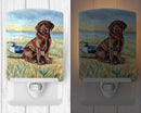 Chocolate Labrador Puppy  Ceramic Night Light Compact, UL-Certified, Ideal for Bedroom, Bathroom, Nursery, Hallway, Kitchen, 6x4x3, Multicolor