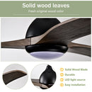 Indoor Outdoor Ceiling Fan With Light With Remote Control, Noiseless Reversible Motor, 6 Speed, 3 Color by HouseOfZazla