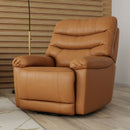 Oslo Antelope - Swivel Glider Recliner With Manual Footrest by HouseOfZazla