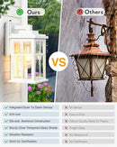 White Outdoor Light Fixture, 2 Pack Dusk to Dawn Exterior Lighting Fixtures, Anti-Rust Porch Lights, Dusk to Dawn Outdoor Lighting for House, Garage, Garden, Entryway, Doorway by GreenHaven Gardens