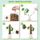15 Inch 8 Pcs Plastic Moss Pole for Plants Monstera, 8×15'' Plant Poles for Climbing Plants, Plant Support for Indoor Plants Work with Sphagnum Moss, Clear by GreenHaven Gardens