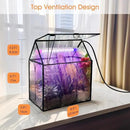 Plant Terrarium Kit with Grow Light, Rifny Large Glass Terrarium Jar with Absorbent Mat and Lid for Venus Fly Trap Succulent Live Air Plants Indoor Home Office Decor (Black, 8.9 x 5.9 x 9.9 inch) by GreenHaven Gardens