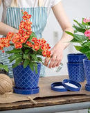Ceramic Plant Pots –5 inch Indoor Flower Pot with Drainage Hole and Ceramic Tray - Gardening Home Desktop Office Windowsill Decoration Gift, Set of 4-Plants NOT Included(Blue) by GreenHaven Gardens