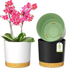 ZMTECH Plant Pots, Set of 3 8'' Self Watering Plastic Planter with Drainage Hole and Saucer, Modern Decorative Flower Pot for Indoor Outdoor House Plants, Succulents, Flowers - Dark Gray/White/Green by GreenHaven Gardens