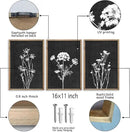 Flower Plant Wall Art Decor 16"x11" Set of 3 Black And White Botanical Painting Wood Framed For Minimalist Bedroom Office Rustic Living Room Abstract Wildflower Sign Hanging (Wood Black) by CozyNest Decor