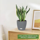 Dexceder 9x8 Inches Rattan Self Watering Planter Indoor Outdoor, Inner Pot Design, Thickened Table Flower Plant Pot with Water Level Indicator (Deep Gray) by CozyNest Decor