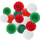 Red-Green White Party-Decorations Christmas Flowers Lanterns - 15PCS Italian Mexican Independence Day Paper Tissue Pom Poms Streamers,Mexico Italy Birthday Baby Shower Wedding Hanging Decor Hugfond by CozyNest Decor