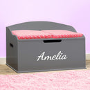 DIBSIES Personalized Creative Wonders Toy Box, Signature Series for Girls, 30 x 19.25 x 18 inches, Soft-Close Lid (Dovetail Grey) by TinyTreasures Baby Boutique