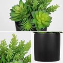 Artificial Succulents in Pots Faux Succulents Plants Fake Succulent Arrangement Potted Plants with Black Ceramic Vase for Office Desk Bathroom Shelf Living Room Indoor Home Decor by CozyNest Decor
