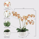 Faux Orange Orchid Plant, Premium Artificial Indoor Flower Display Stands 23”, Beautiful Sculptural Blooms That Lasts Forever, White Planter Pot Included by CozyNest Decor