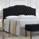 24KF Upholstered Button Tufted King Size Headboard with Nailhead Trim, Soft Velvet Fabric Headboard King/Cal King Size-Black by CozyNest Decor