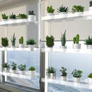 3-Tier Hanging Clear Plant Shelves for Windows, Acrylic Window Wall Plant Stand Shelf for Kitchen Indoor Gardens, Flower, Succulents, Herb, Seedling Organization, and Pots Display, 16 Inch per Tier by GreenHaven Gardens
