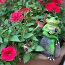 OwMell Frog Statue for Garden, Drinking Coffee Green Frog Figurine for Outdoor Decor Yard and Garden Decoration Resin Sculpture 6 Inches by GreenHaven Gardens