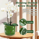 KERUITA Orchid Pots with Holes, 6 inch + 5 inch Orchid Planters with Dancing Mushroom Shaped Holes, Enhanced Drainage and Ventilation,Green Flower Pots for Indoor/Outdoor Plants for Repotting by GreenHaven Gardens