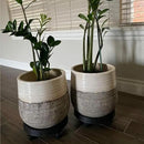 2 Pack of 12.6 Inch Heavy Duty Plant Caddy with Wheels,Rolling Plant Stand Pot Trolley,Wheeled Planter Saucer Tray,Potted Flower Mover Dolly with Casters Round Coaster for Indoor Outdoor by GreenHaven Gardens