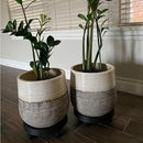 2 Pack of 11 Inch Heavy Duty Plant Caddy with Wheels,Rolling Plant Stand Pot Trolley,Wheeled Planter Saucer Tray,Potted Flower Mover Dolly with Casters Round Coaster for Indoor Outdoor by GreenHaven Gardens