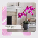 Faux Pink Orchid Plant, Premium Artificial Indoor Flower Display Stands 25-Inches with Beautiful Sculptural Blooms and Foliage That Lasts Forever, Grey Planter Pot Included by CozyNest Decor