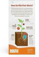 Back to the Roots Self-Watering Terracotta Olla Pot (Pack of 3), 700mL Provides 1 Week of Precision Watering by GreenHaven Gardens
