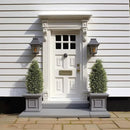 3FT Artificial Cedar Topiary Trees, Fake Cypress Trees Faux Pine Shrubs Plants, Evergreen Plants for Home Porch Decor Set of 2 by GreenHaven Gardens
