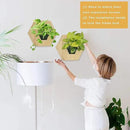 Hexagonal Wooden Wall Planter, Self Watering Living Vertical Planters Indoor, Wooden Frame Planter Wall Decoration Home Office 2pc by CozyNest Decor