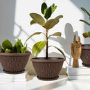 4 Pack Plant Pots Outdoor Indoor, 8 Inch Small Flower Pots with Drainage Hole & Tray, Thickened Plastic Outdoor Planters for Garden House Decor - Pebbles Pattern Design by CozyNest Decor