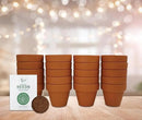 BUZZY Seeds Spruce Terracotta Mini Grow Pots | Tree Starter Kit for Kids & Adults | Bulk 20-Pack | Guaranteed to Grow | Best Indoor Grow Your Own Gardening Gift | Craft & Classroom Projects by GreenHaven Gardens