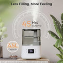 BOXING Warm and Cool Mist Humidifiers for Bedroom Large Room Home, Air Humidifier with Remote, Top Fill Ultrasonic Diffuser Humidifier with humidistat,Quiet Sleep Bedside Nightstand,Timer,Filter,4.5L by TinyTreasures Baby Boutique