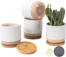 AOMRYOM 4 Inch Small Ceramic Plant Pots with Drainage Hole and Saucer, Modern Flower Planter for Succulent, Indoor Plants, Cactus, Herbs, White, Set of 4 (Plant Not Included) by GreenHaven Gardens