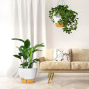 ZMTECH 12 Inch Hanging Planters for Indoor Outdoor Plants, 2 Pack Self Watering Hanging Plant Pots with Drainage Hole, Visual Reservoir, Plastic Flower Hanging Pots with Watering Lip (White) by CozyNest Decor