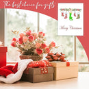 Handprint Keepsake DIY Kit, Baby's First Christmas Keepsake, Stocking Winter Decoration, Family Footprint Art for Kids, 7.8x9.8 Inch Canvas, Suitable For Desktop Wall Ornaments by TinyTreasures Baby Boutique