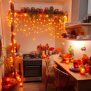 JMEXSUSS Orange Lights for Thanksgiving, 400 LED Orange Icicle Lights Outdoor, 8 Modes Orange Lights with 80 Drops Thanksgiving String Lights Plug in for Fireplace Indoor House Roof Outdoor Holiday by GreenHaven Gardens