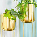 CosmoLiving by Cosmopolitan Metal Indoor Outdoor Planter Tall Indoor Outdoor Dome Large Planter Pot with Removable Stand, Set of 2 Planters 39", 46"H, Gold by GreenHaven Gardens