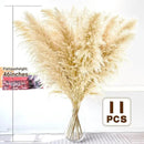 46" inch 11 Stems Natural Pampas Grass Tall Decor,Pompas Grass,Large Beige Tall Pampas Grass for Floor Vase,Wedding Decorations,Party,Boho Home Decor,and Creating a Boho Ambiance by CozyNest Decor