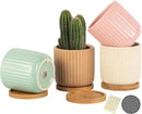 TAMAYKIM 4 Inch Cylinder Ceramic Boho Plant Pots with Drainage Hole and Saucer, Glazed Multicolor Flower Pots for Succulent, Snake Plant, Cactus and Herbs, Set of 4 (Plant Not Included) by CozyNest Decor