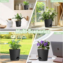 4 inch Self Watering Pots for Indoor Outdoor Plants, 6 Pack Plastic Flower Planters with Drainage Holes and Removable Saucers, Plant Pots with Wicking Rope, Modern Decor, Black by GreenHaven Gardens