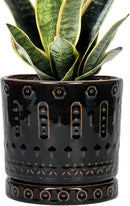 Ceramic Plant Pots - 6 Inch Ceramic Planter for Indoor Outdoor, Round Flower Pots with Drainage Hole and Plant Saucer, Boho Decorative Small Planter, House Decor, Gifts for Gardeners, Black by GreenHaven Gardens