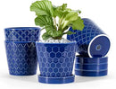 Ceramic Plant Pots –5 inch Indoor Flower Pot with Drainage Hole and Ceramic Tray - Gardening Home Desktop Office Windowsill Decoration Gift, Set of 4-Plants NOT Included(Blue) by GreenHaven Gardens