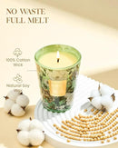 M&SENSE Eucalyptus Sage Scented Candle, 14.1oz 60H Burn Time Slow Burning, Natural Soy Candles Aromatherapy Relaxing Sleep, Home Fragrance Housewarming Gifts by CozyNest Decor
