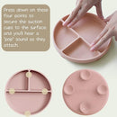 Moonkie Suction Plates for Baby | 100% Silicone BPA-Free Baby Plates with Lids and Food Cover | Divided Design | Microwave and Dishwasher Safe | Toddler Plates 3 Pack by TinyTreasures Baby Boutique