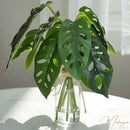 Artificial Flowers Turtle-Back, Alocasia Leaf, in Glass Vase with Faux Water,7Pcs Artificial Leaves Real Touch Latex Leaves for Centerpiece (2, Turtle-Back Leaf) by CozyNest Decor