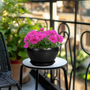 Plant Pot Large 9 Inch - Ceramic Pots for Plants with Drainage Hole and Saucer Round Planter for Indoor Plants Decorative Outdoor Flower Pot Large for House Balcony Black by GreenHaven Gardens