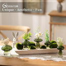 Glasseam Mushroom Plant Propagation Stations: Green Glass Terrarium Jar Set of 10 Cute Planters for Indoor Plants Mini Propagate Station Unique Christmas Birthday Gifts for Women Home Office Decor by GreenHaven Gardens