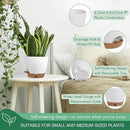 montresor 2 Pack 8 inch Plant Pots, PP Plastic Self Watering Plant Pot with Drainage and Tray for Indoor Outdoor Plants, Water Level Window & Reservoir Flower Pots Decorative Planter(White) by CozyNest Decor