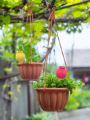 4Pcs Plant Watering Globes, Kalolary Hedgehog Shape Self Watering Spikes Terracotta Drip Water Stakes Irrigation Watering Bulbs for Pot, Indoor, Outdoor, Vacation (Bottle) by GreenHaven Gardens