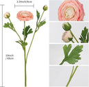 IPOPU 4PCS Real Touch Ranunculus Artificial Flowers Faux Ranunculus Flowers for Vases Real Look Silk Peonies Fake Peony Flowers for Home Indoor Wedding Centerpieces for Table Decorations (Champagne) by CozyNest Decor
