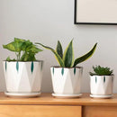 7 5 4 inch Plant Pots for Indoor, Hand Painting Ceramic Flower Planter Outdoor Set of 3 with Drainage and Saucer, Succulent Pots for Mom Family by GreenHaven Gardens