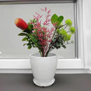 FixtureDisplays® 9.8" Diameter 11" Tall White Plant Pots, Plastic Flower Pots with Drainage Holes and Saucers for Indoor and Outdoor 15747-NF by CozyNest Decor