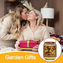 2 Pack Solar Lanterns Outdoor Waterproof Dragonfly Garden Decor Birthday Gifts for Women Mom Grandma Hanging Solar Lights Metal Decoration Outside for Yard, Patio, Backyard, Porch,Pathway by GreenHaven Gardens